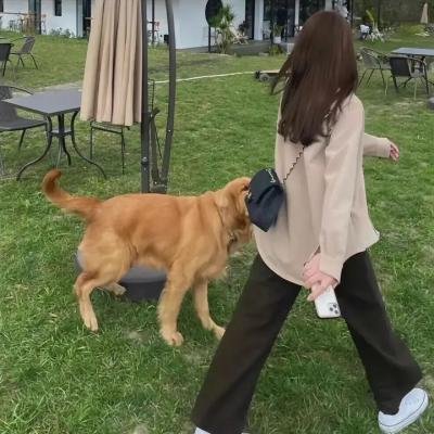 鹰之路